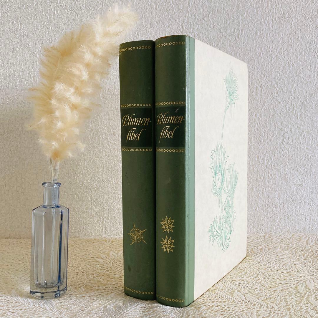 希少なヴィンテージ植物図鑑2巻セット　繊細で美しい植物画300点　洋書・古書