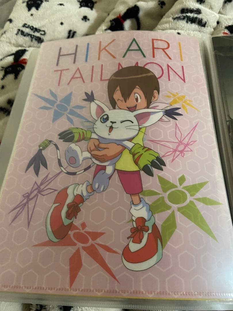 デジモンアドベンチャークリアファイル