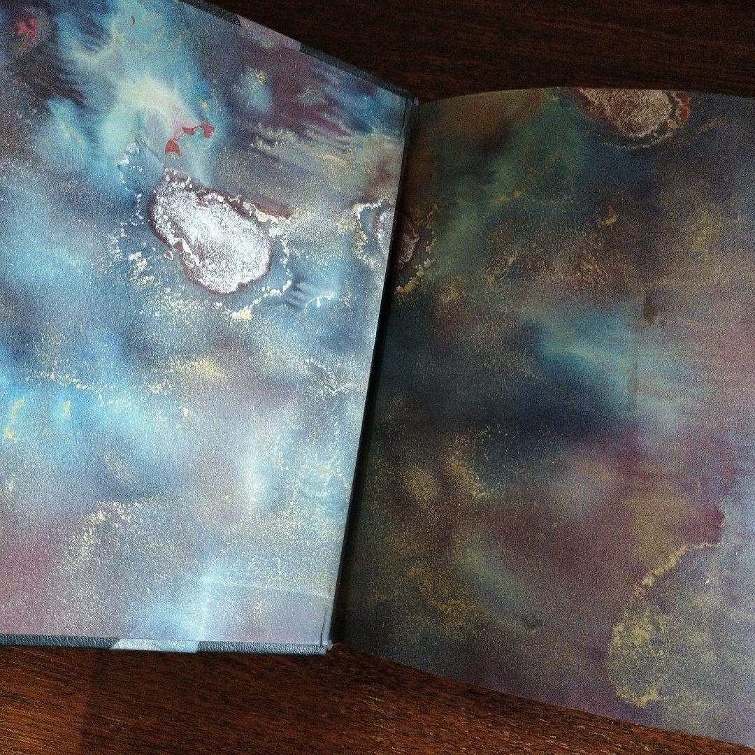 LE PIED DE FANCHETTE　洋書