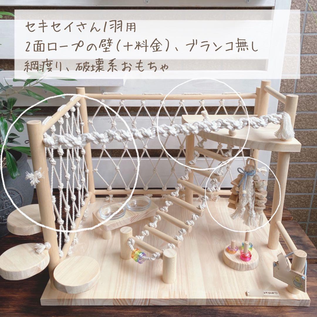 ことりのおおきなあそびば　インコ　バードジム　バードアスレチック　ブランコ