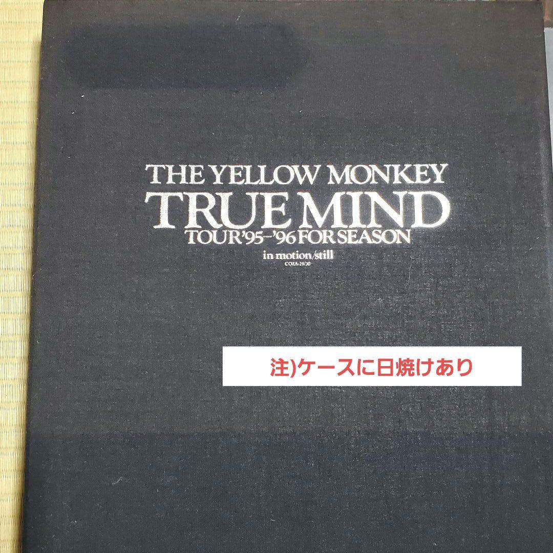 THE YELLOW MONKEY 非売品 レア物 CD ツアーパンフまとめ売り