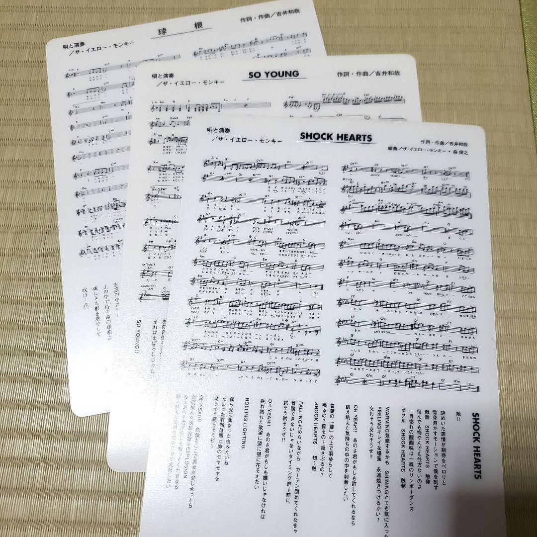 THE YELLOW MONKEY 非売品 レア物 CD ツアーパンフまとめ売り