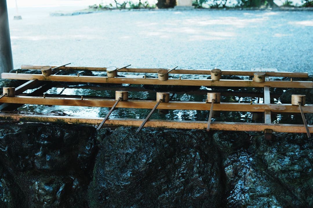 nikon 50mm f/1.4 オールドレンズ