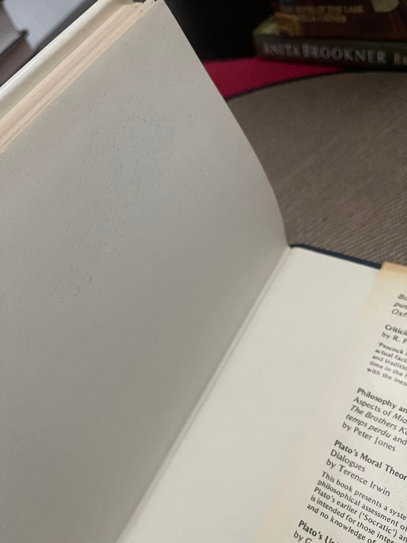 希少　Iris Murdoch The fire & the sun