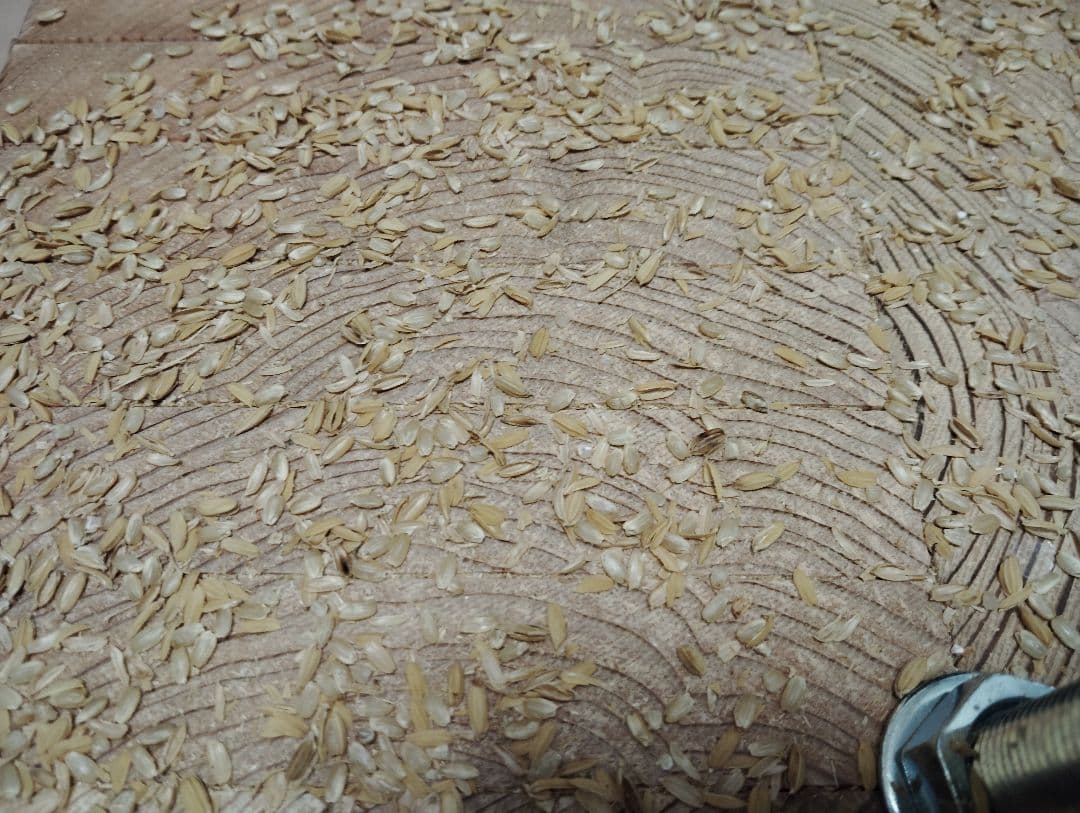 回転式籾擦り機(超大型)