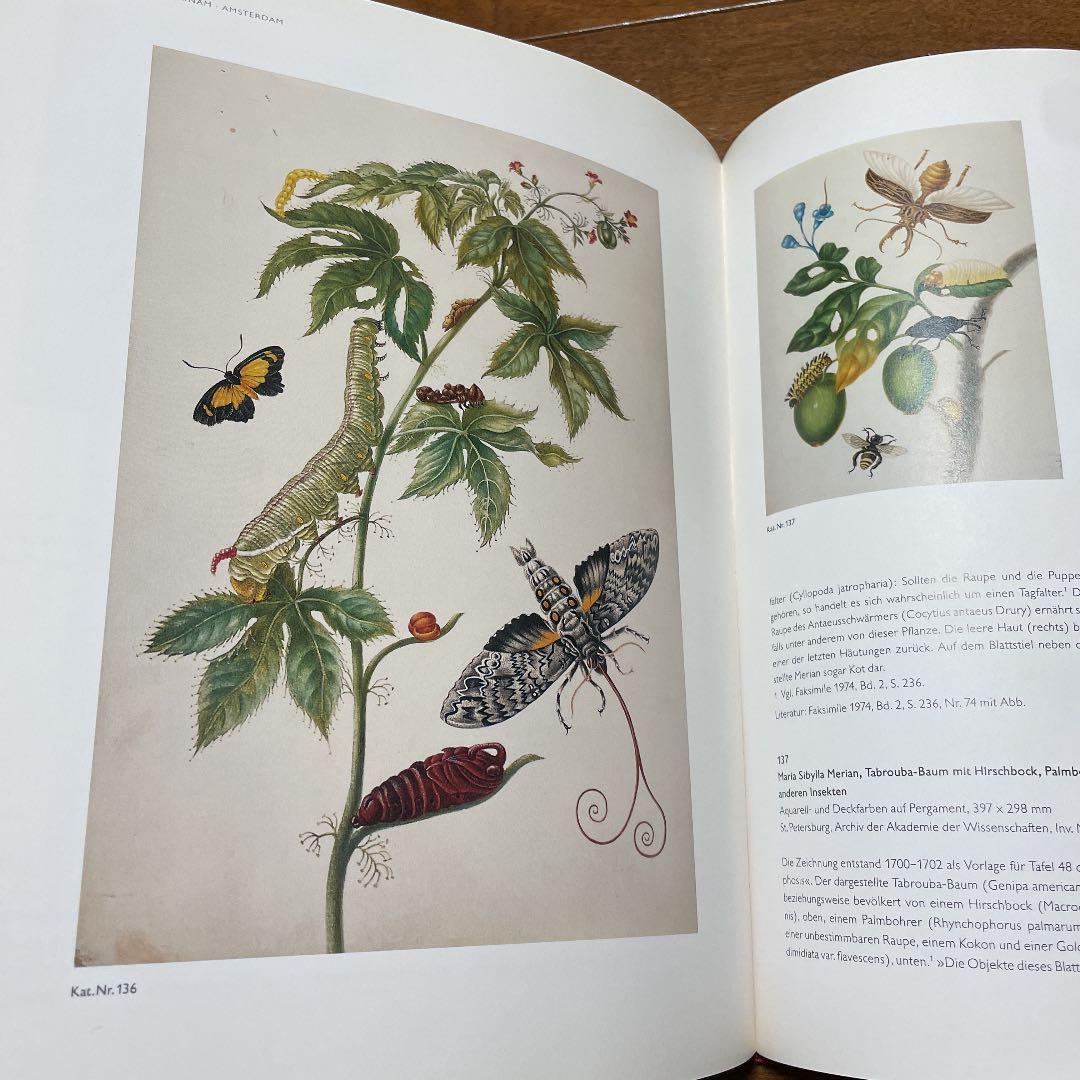 Maria Sibylla Merian 植物画とドイツ語解説