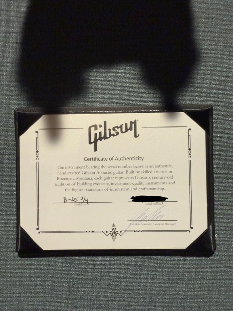 【激レア】 Limited Edition B-25 3/4 Triburst