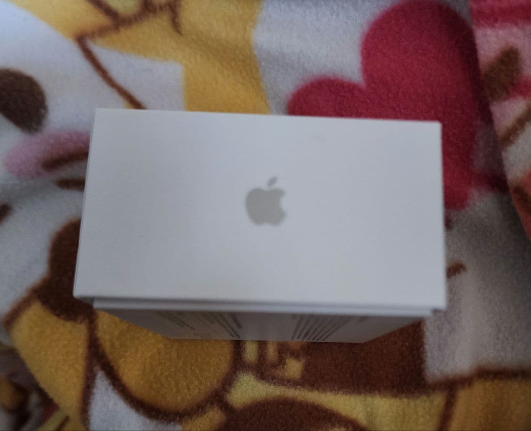 AirPods Pro 第3世代【正規品・付属品完備】iPhoneイヤホン