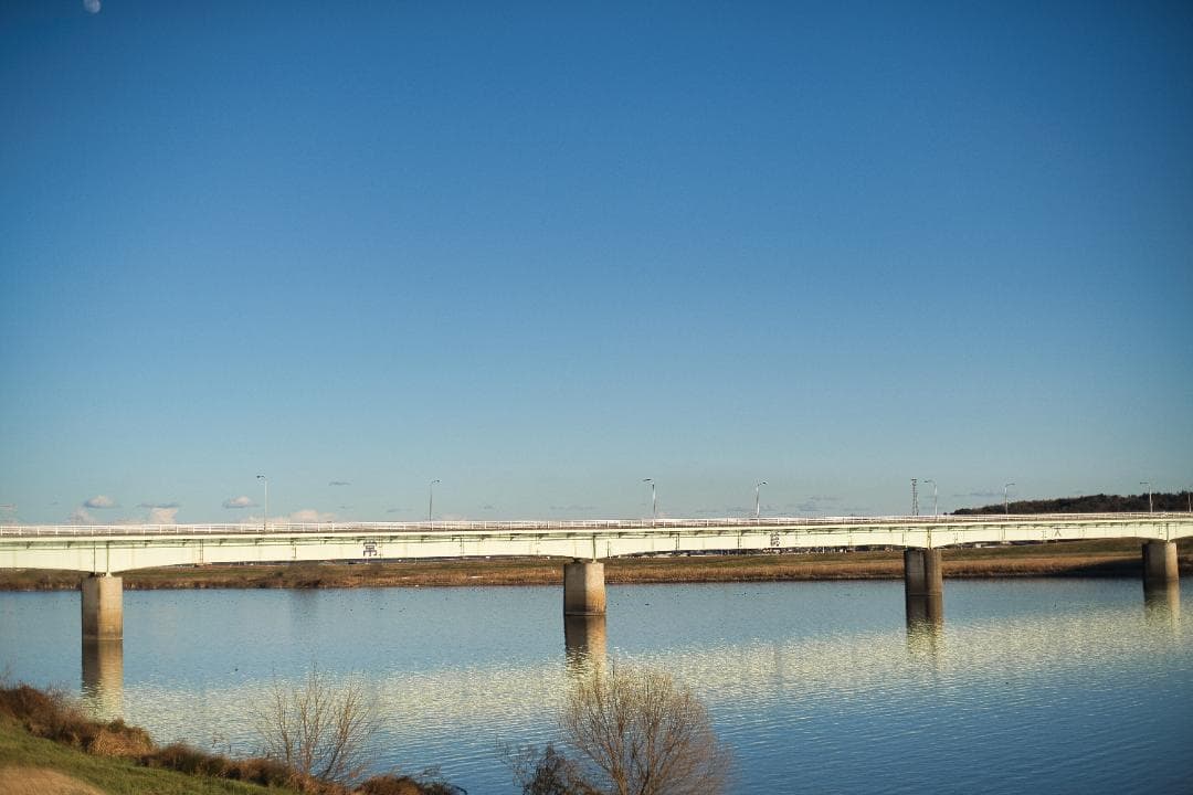 【希少】583万台 Planar 50mm F1.4 AEJ