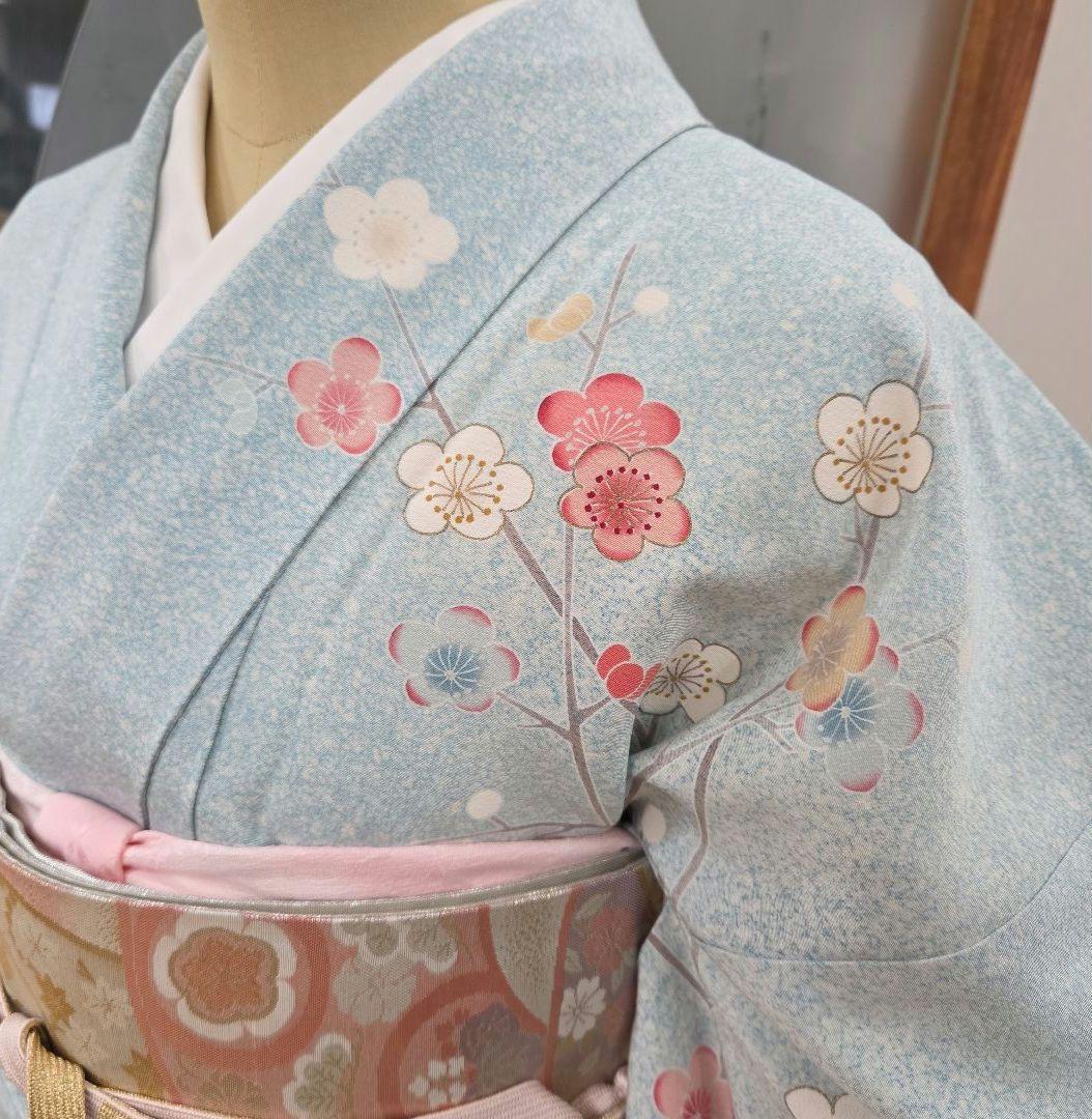 訪問着4点フルセット着物、袋帯、帯締め、帯揚げ トールサイズ対応