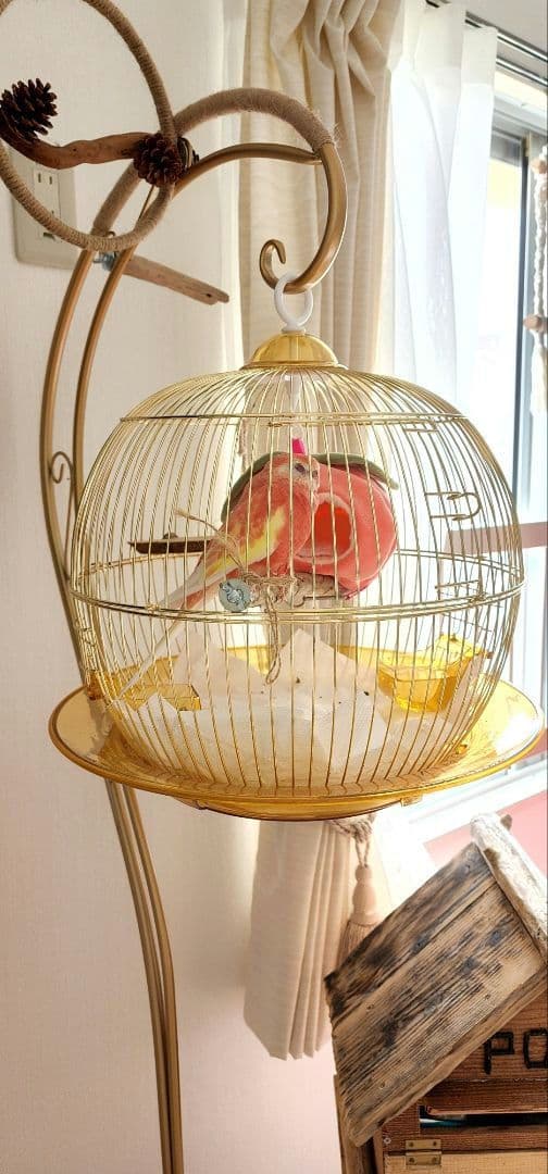 鳥かご ケージ スタンド セット インコ
