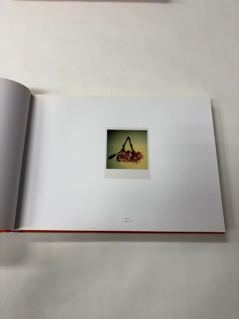 MAPLETHORPE: THE COMPLETE FLOWERS ※外箱付き