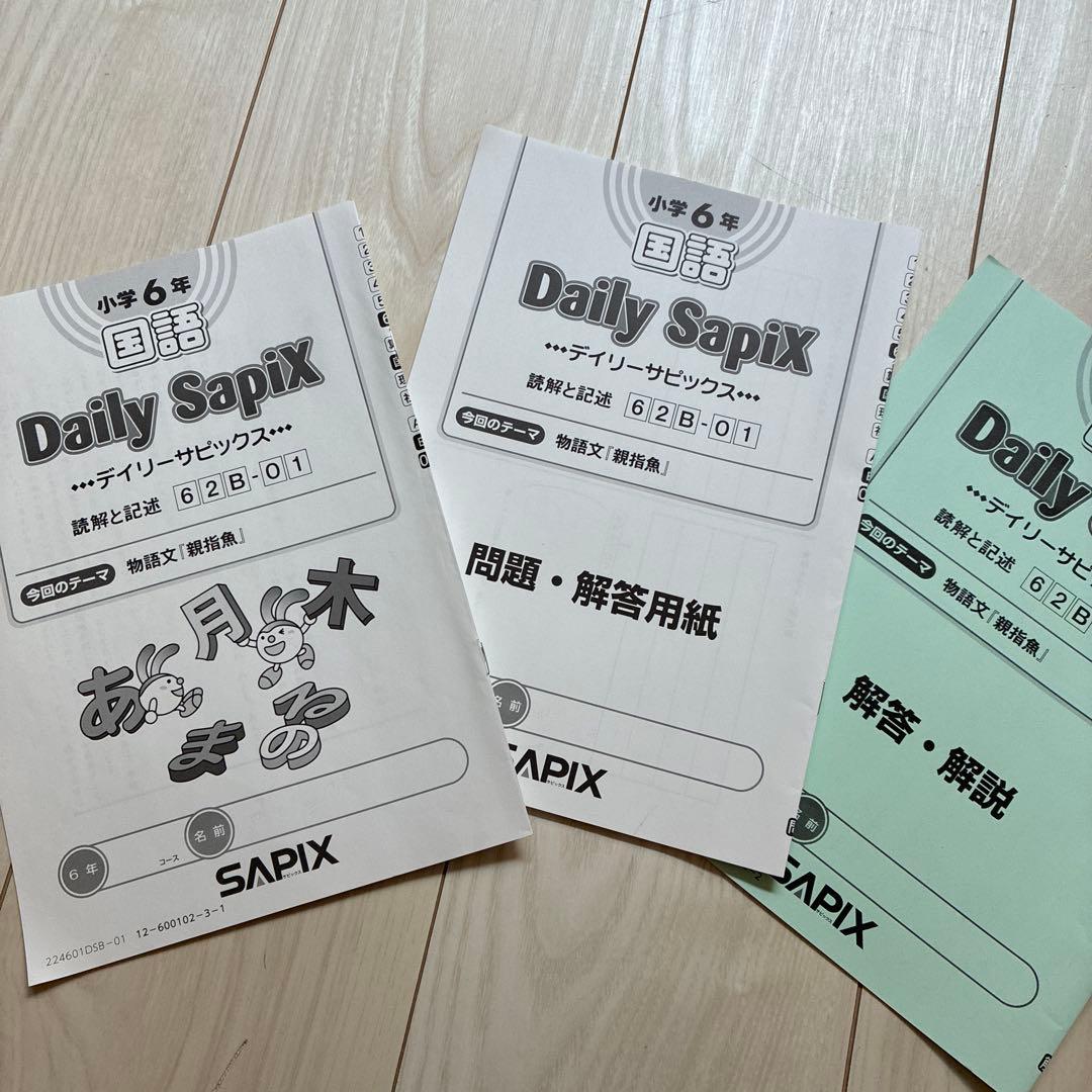 2025年受験組 サピックス6年 国語教材セット