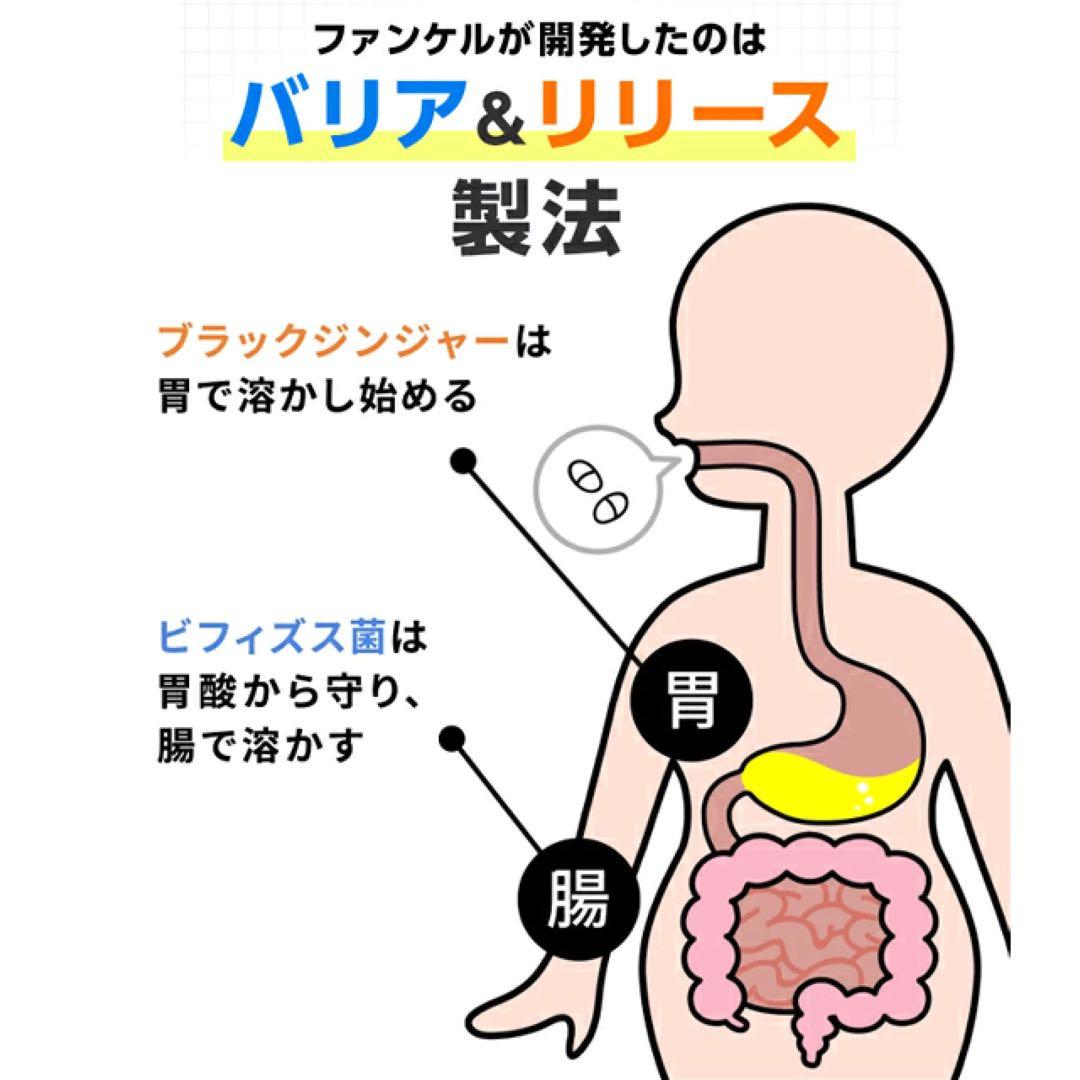 ファンケル 内脂サポート 30日分5袋〈150日分+増量〉