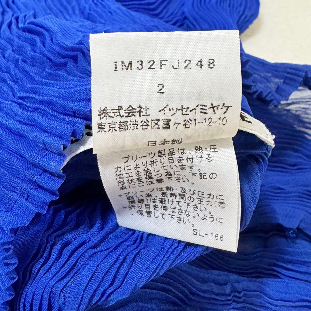 極美品✨ISSEY MIYAKE ねじりプリーツ　シースルー　ブルー　変形