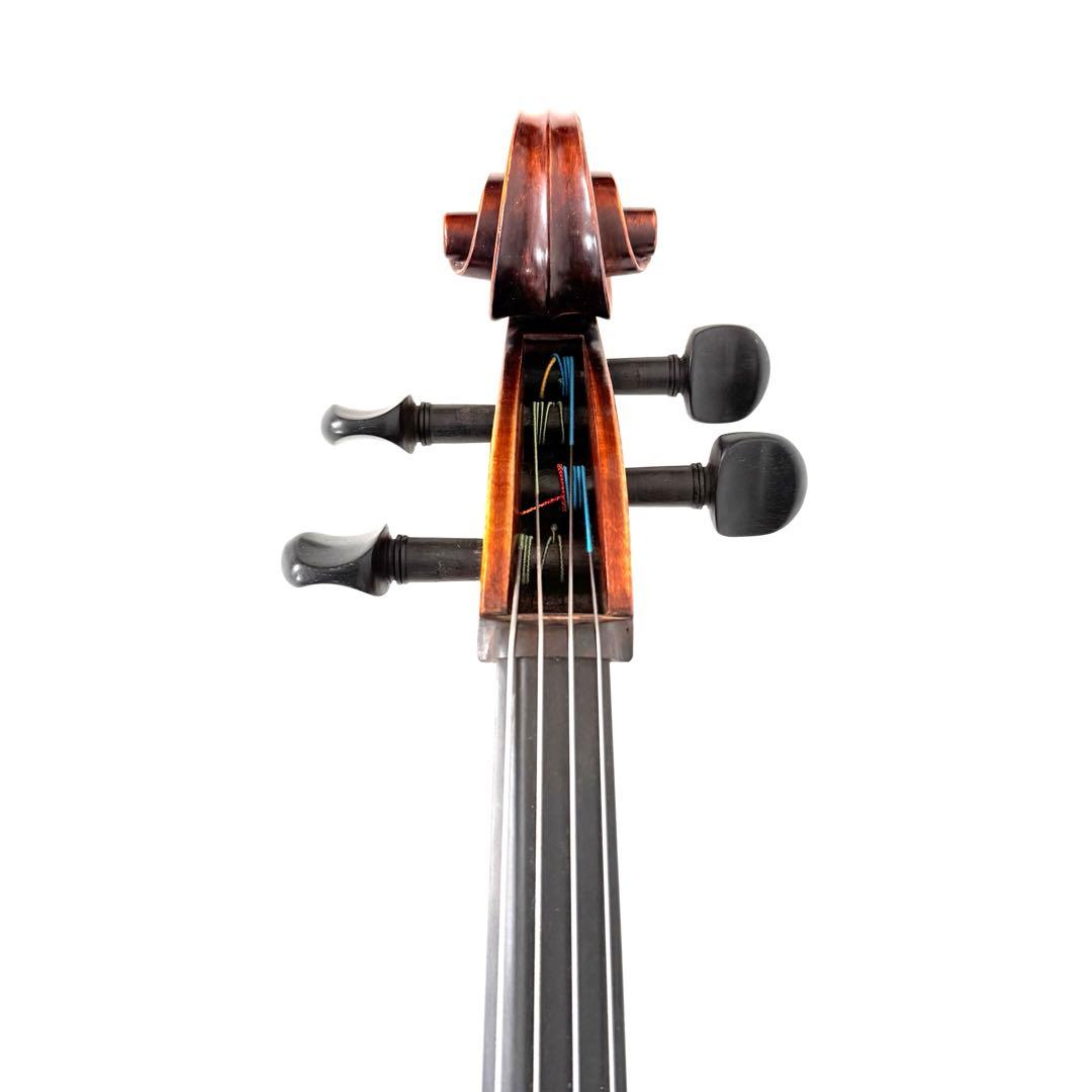 弦楽器 Gliga Strumenti musicali eseguiti 4/4