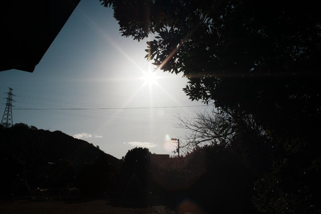 【整備＆テスト済】Canon New FD 35mm F2 キャノン 571