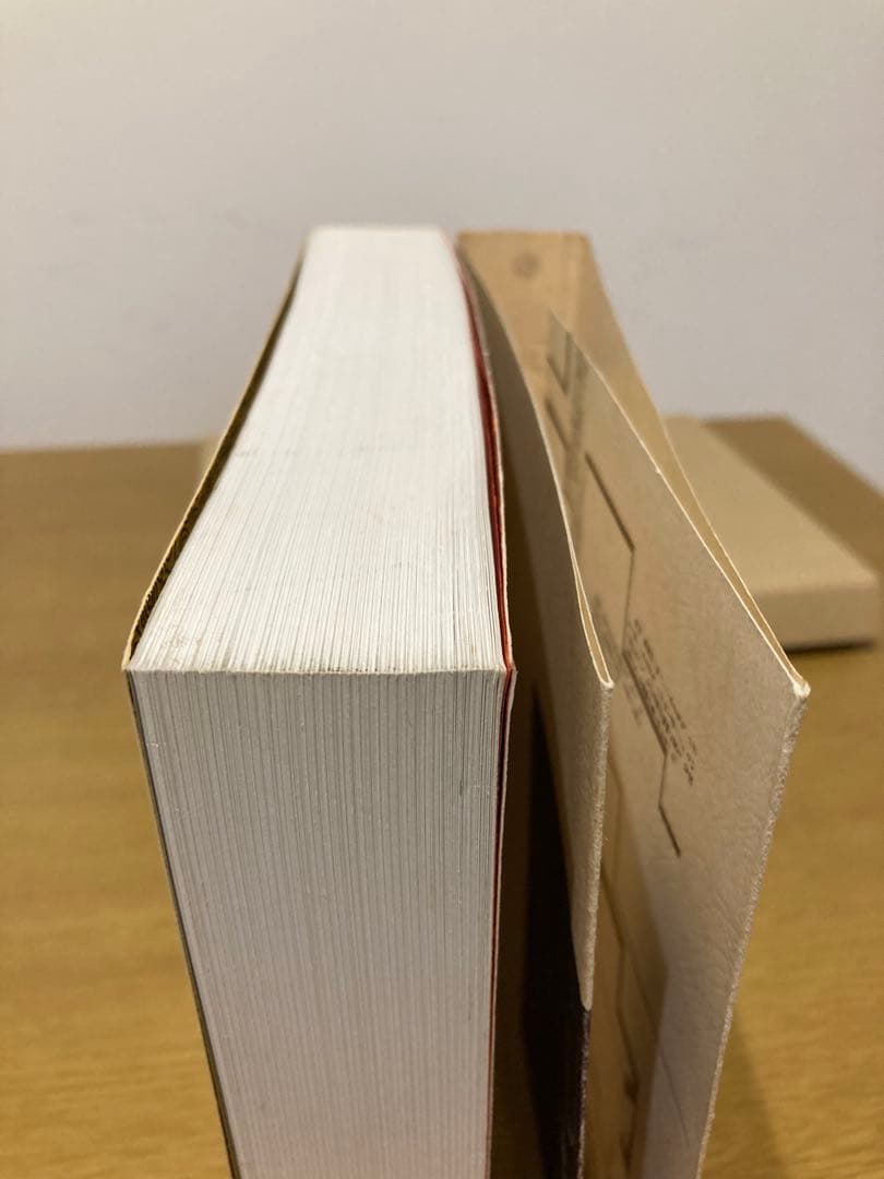 【中古】曼陀羅図鑑 原芳市 初版 写真集