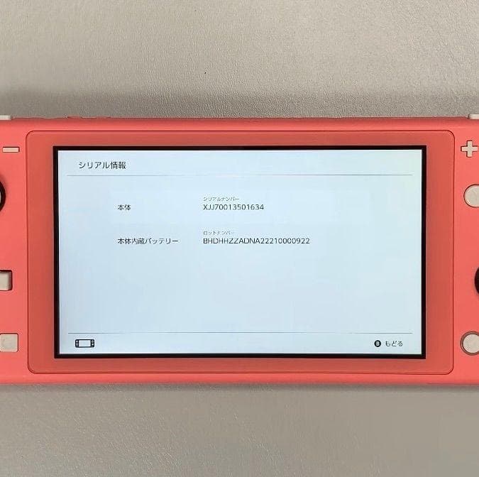 Nintendo Switch Lite 本体 動作品