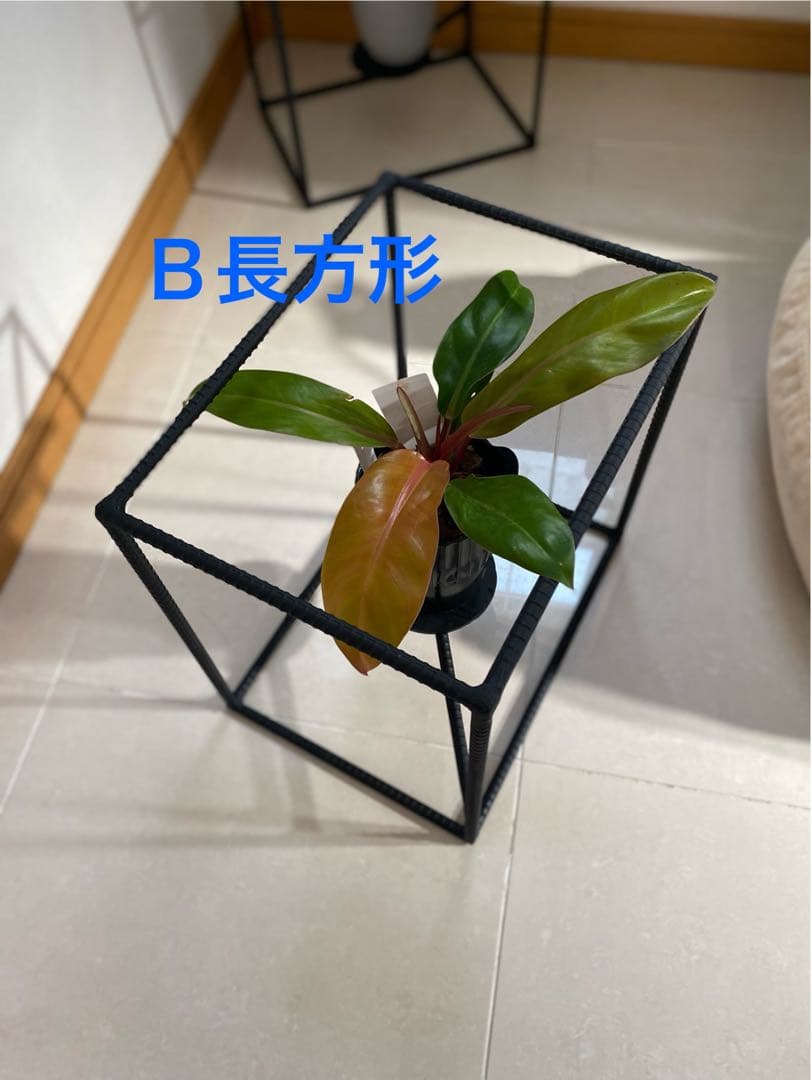 アイアン園芸ラック キューブBOX型　シェルフ棚