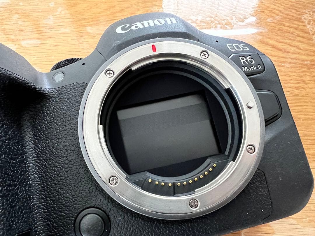How様用【美品】Canon EOS R6 Mark II 本体　おまけ付き