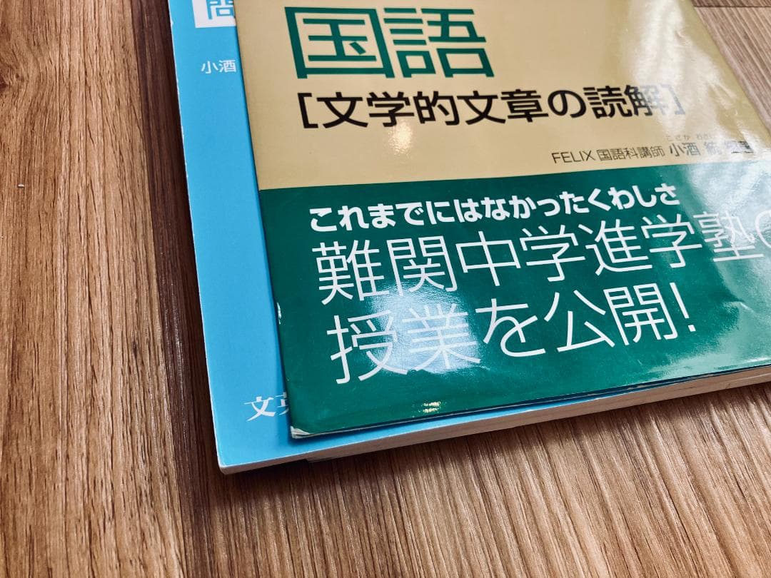 【未使用未記入】塾で教える国語　論理的文章の読解　文学的文章の読解　実践問題集