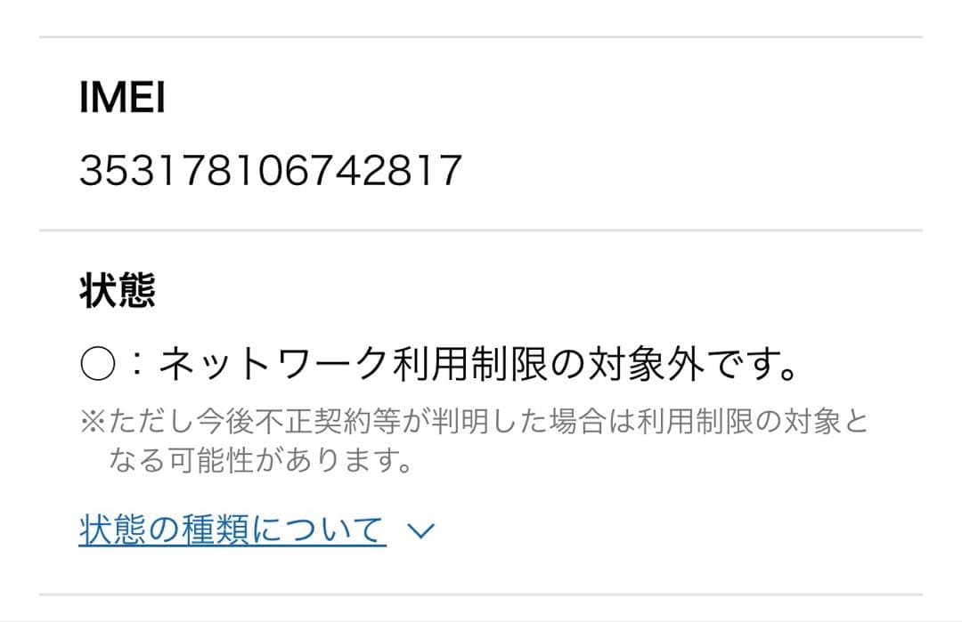 iPad minin 5 256gb simフリー au