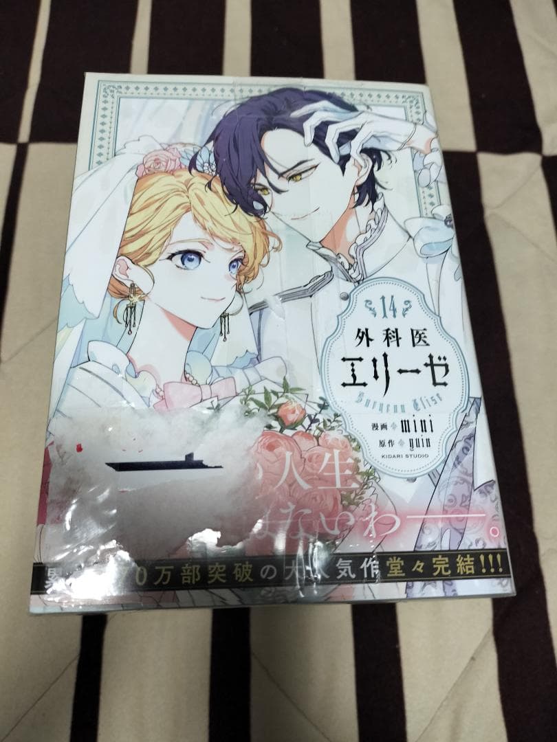 外科医エリーゼ　１〜14巻 ／ 外伝上下巻　計16冊　yuin / mini