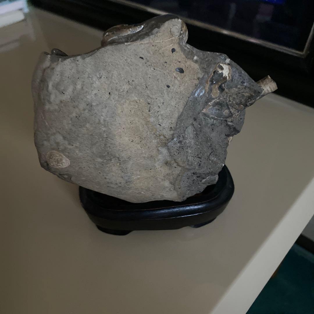 アンモナイト　化石　3点セットまとめ売り　大幅値下げ