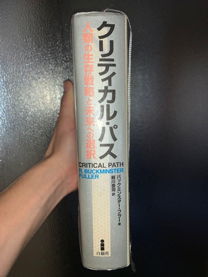 クリティカル・パス : 人類の生存戦略と未来への選択