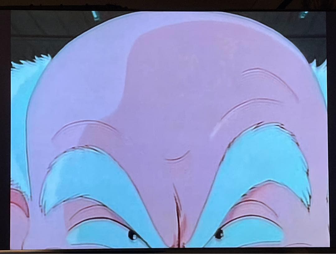 YAWARA TVシリーズ 完全盤 全1〜31巻 VIDEO CD 浦沢直樹