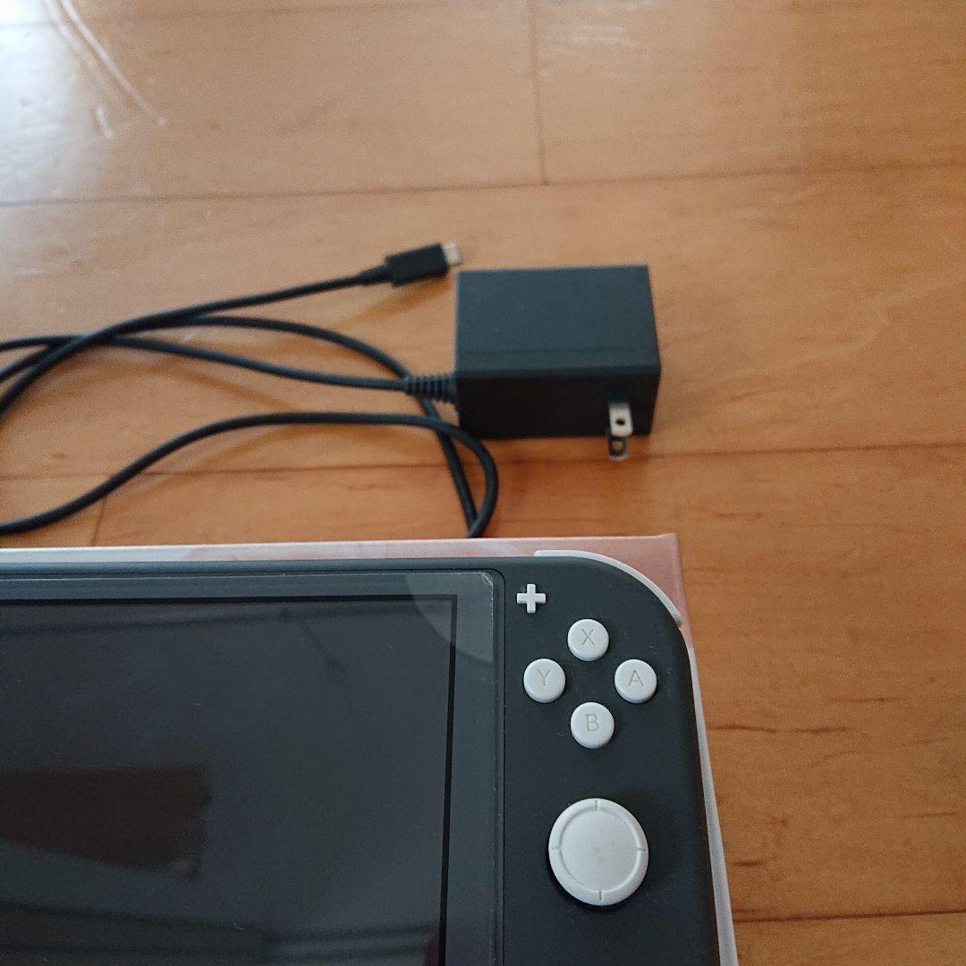 SwitchLite スイッチライト グレイ