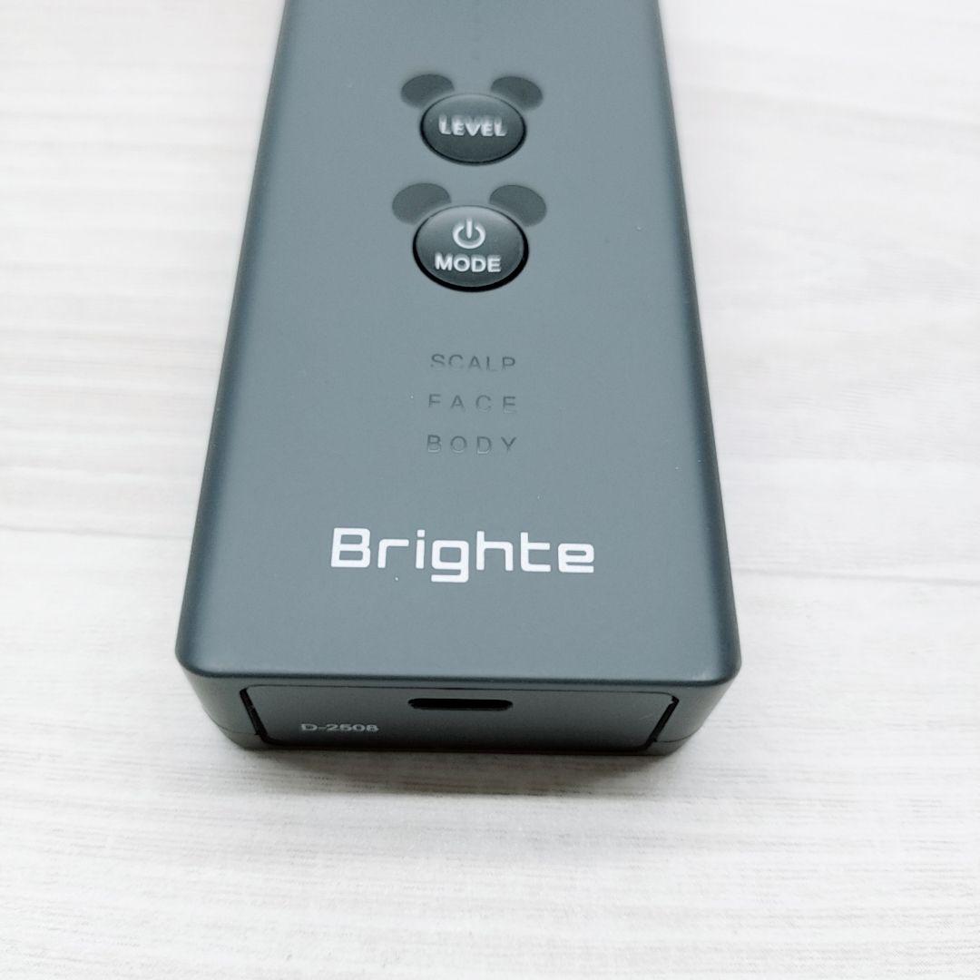 新品未使用⭐️付属品完備 Bright ブライト エレキブラシ プラス　ミッキー