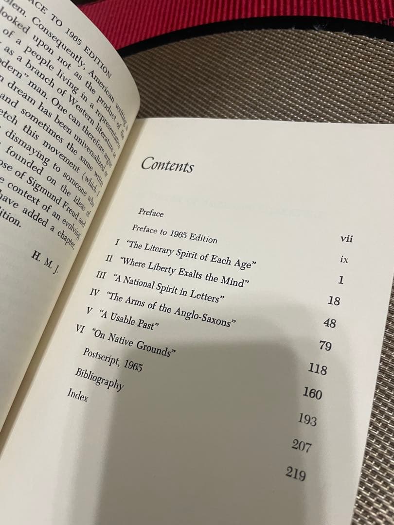 希少　The Theory of American Literature