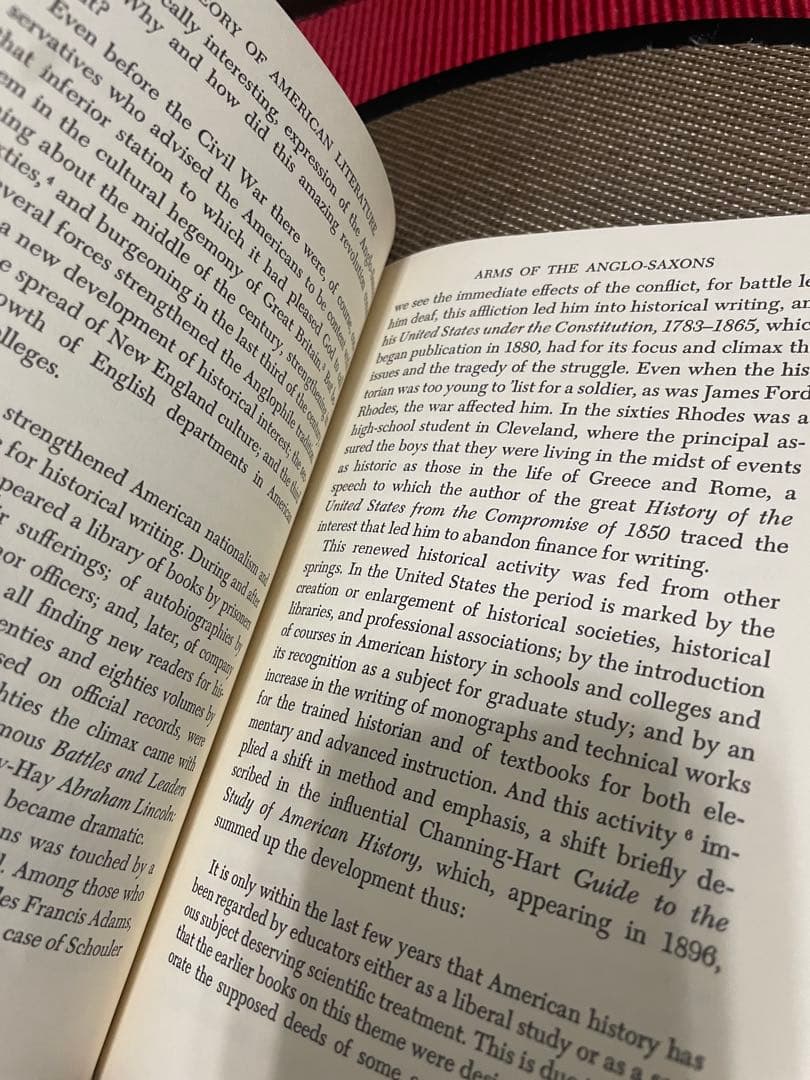 希少　The Theory of American Literature