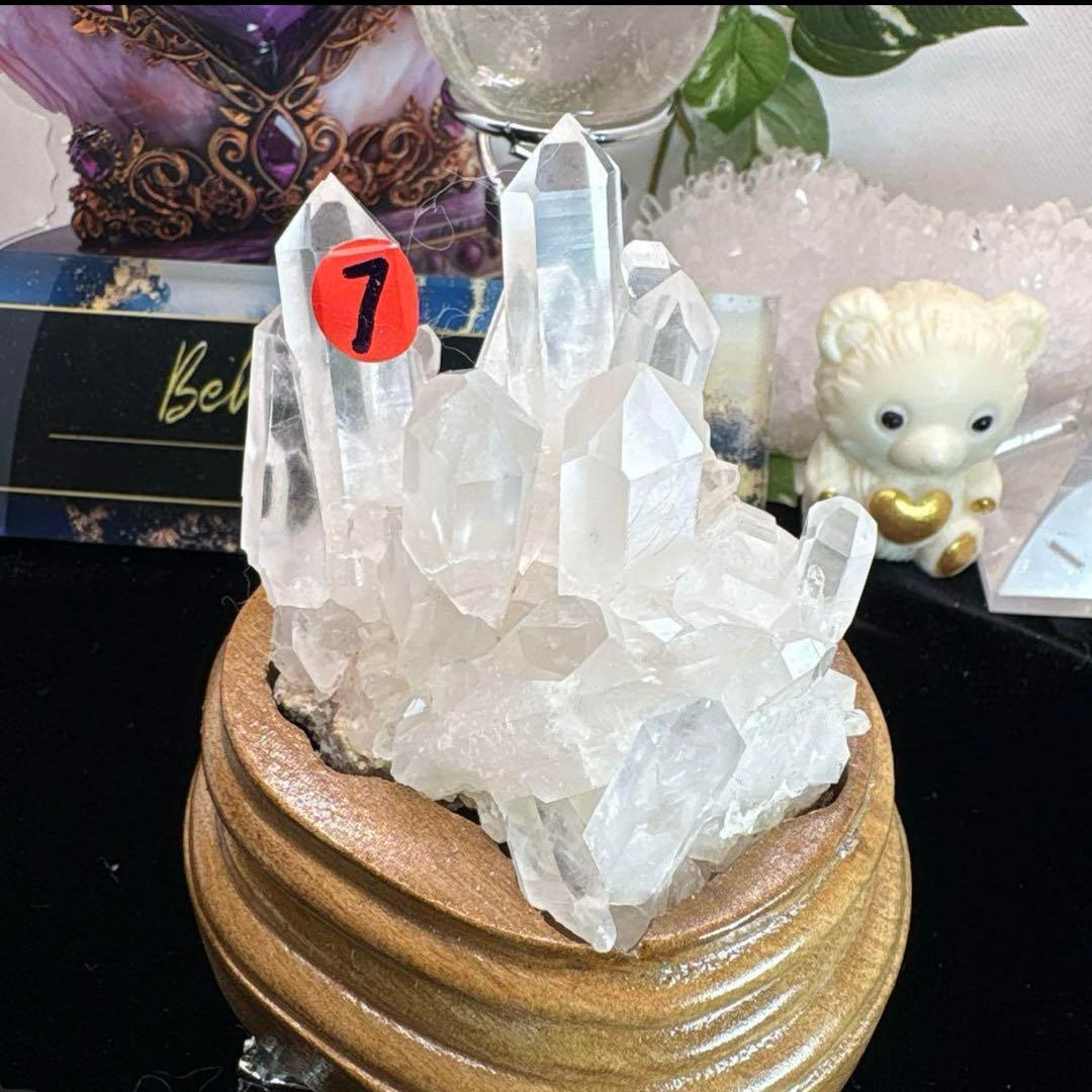 ☆コロパル様☆