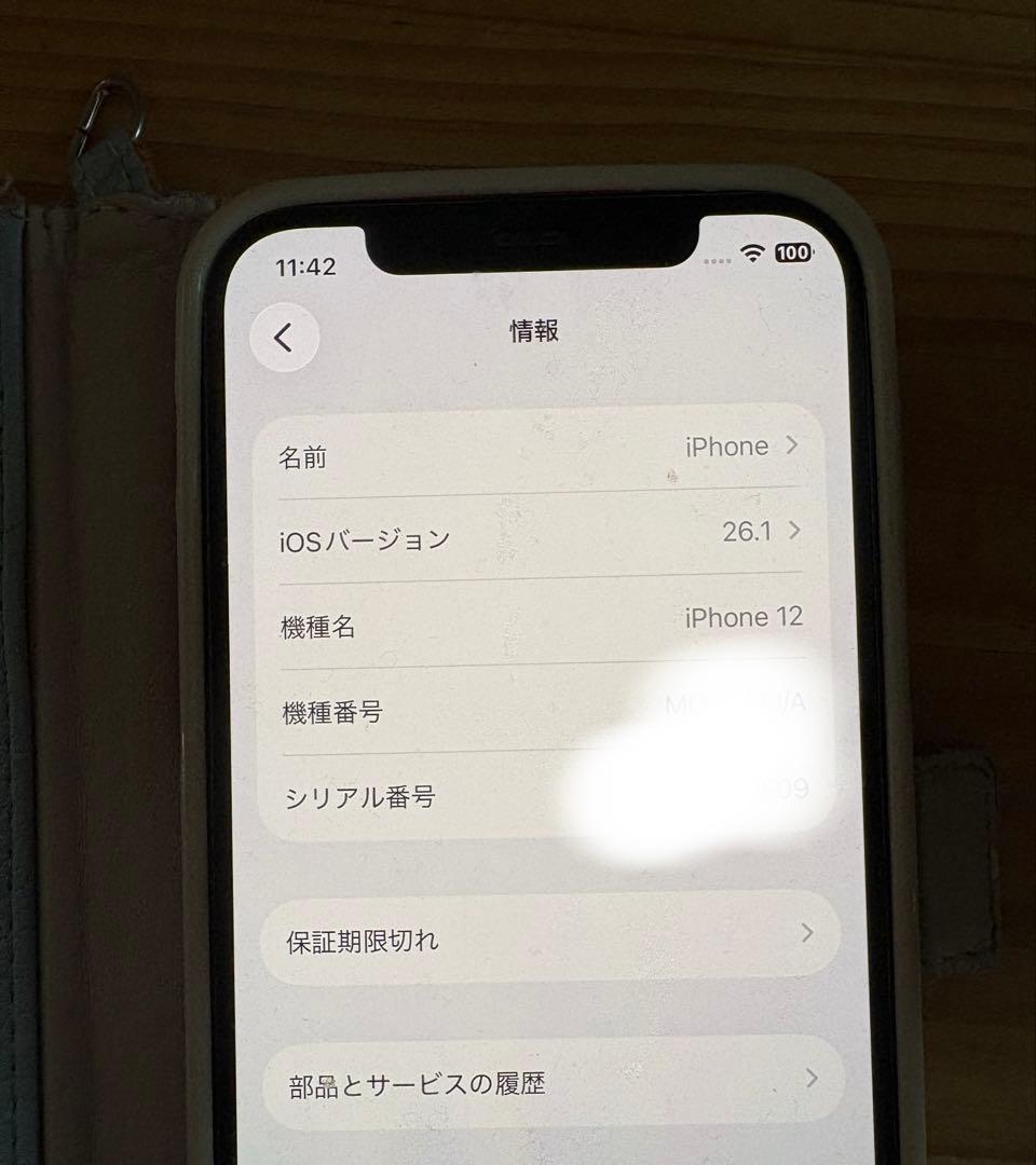 Apple iPhone 12 本体 ジャンク品