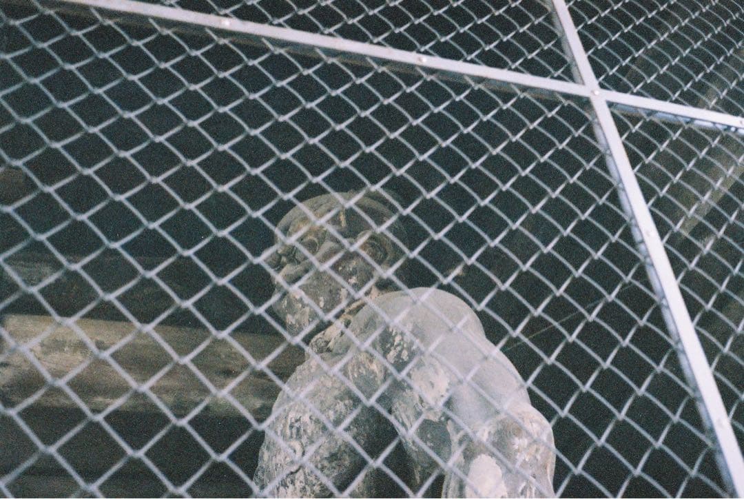 【希少ドイツ製】 Rollei ローライ 35 Tessar レンズ 作例あり