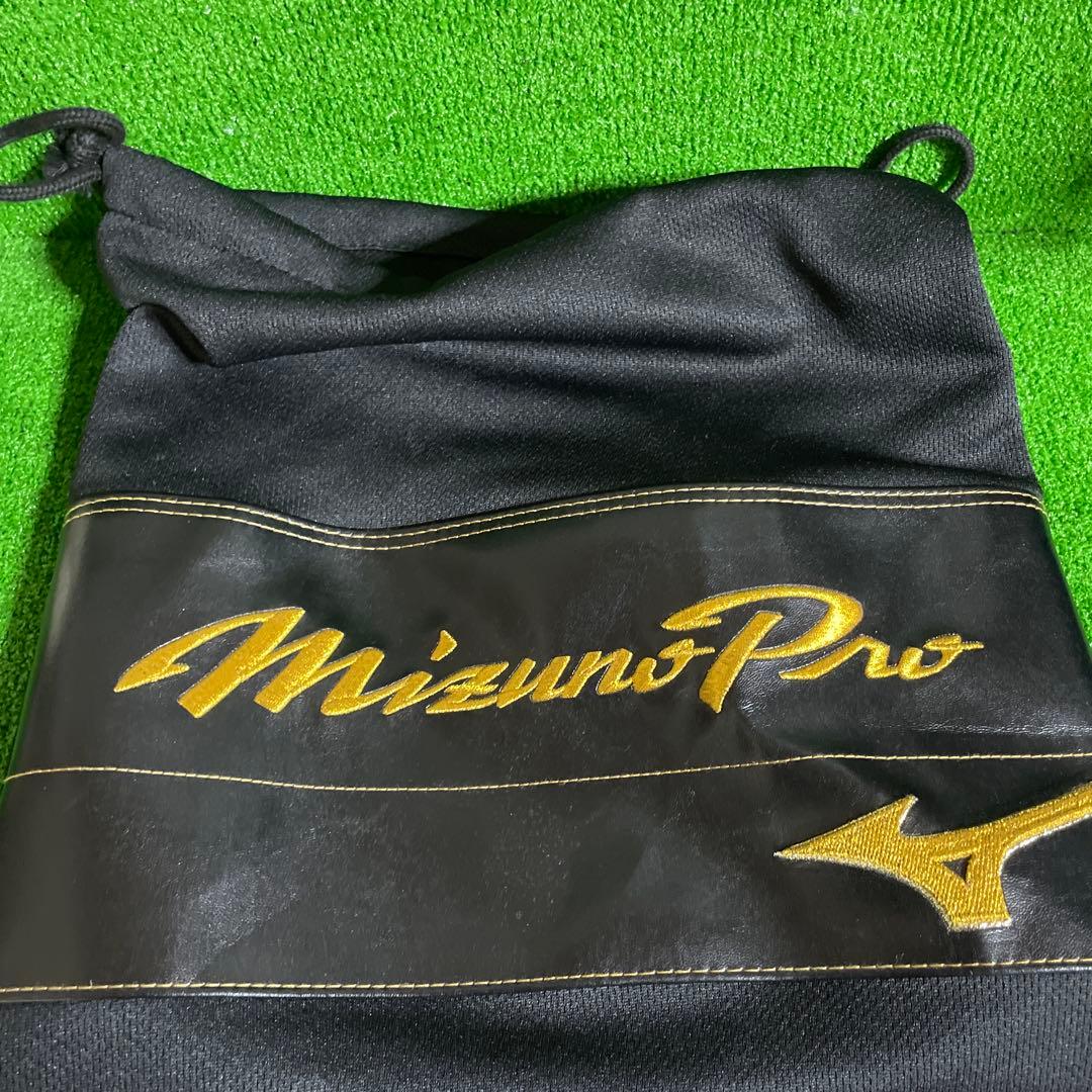 ミズノプロ オーダー 硬式用 外野手用 大人用 グローブ 日本製 左投げ 波賀