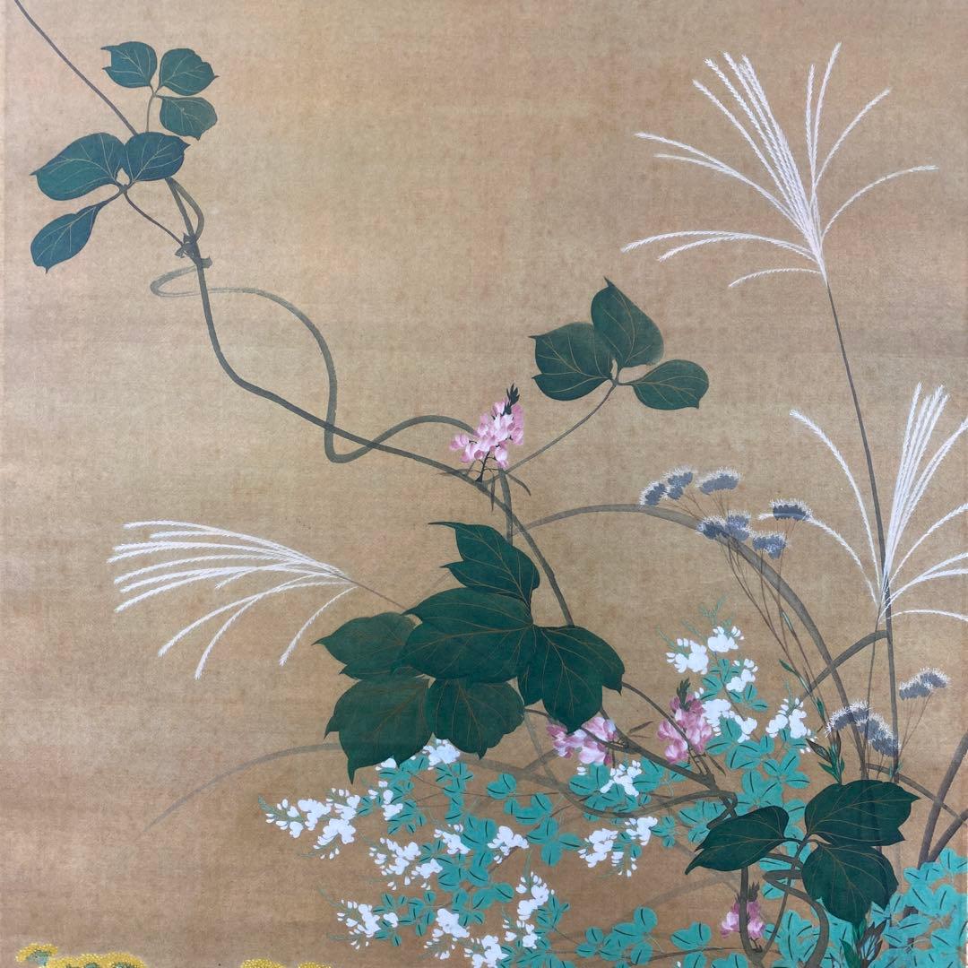 美品 掛け軸 酒井抱一筆「七草図」印刷 秋掛け おもてなし