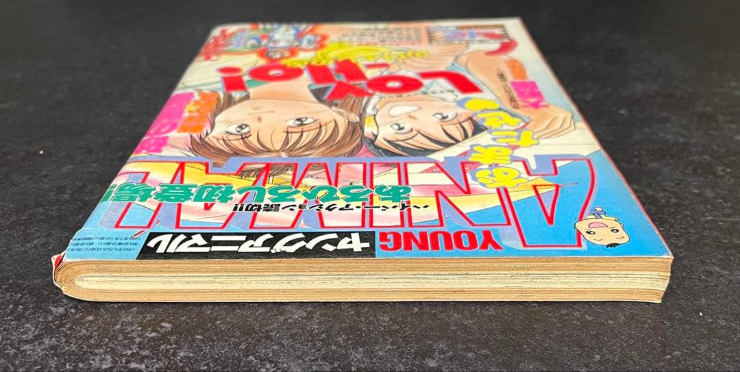 ●ヤングアニマル 1993年 No.12 ●ベルセルク 第16話 三浦建太郎