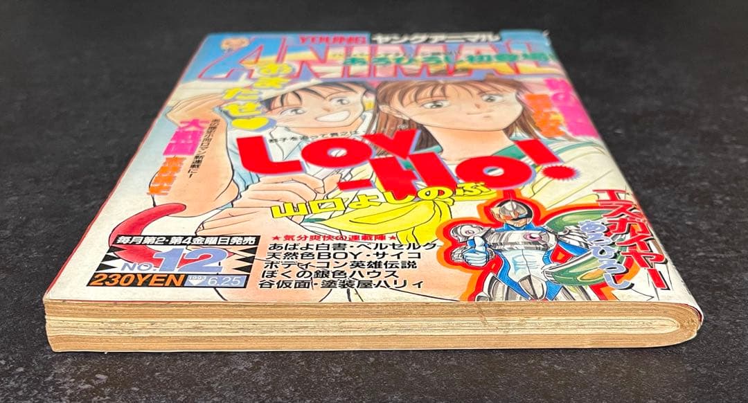 ●ヤングアニマル 1993年 No.12 ●ベルセルク 第16話 三浦建太郎