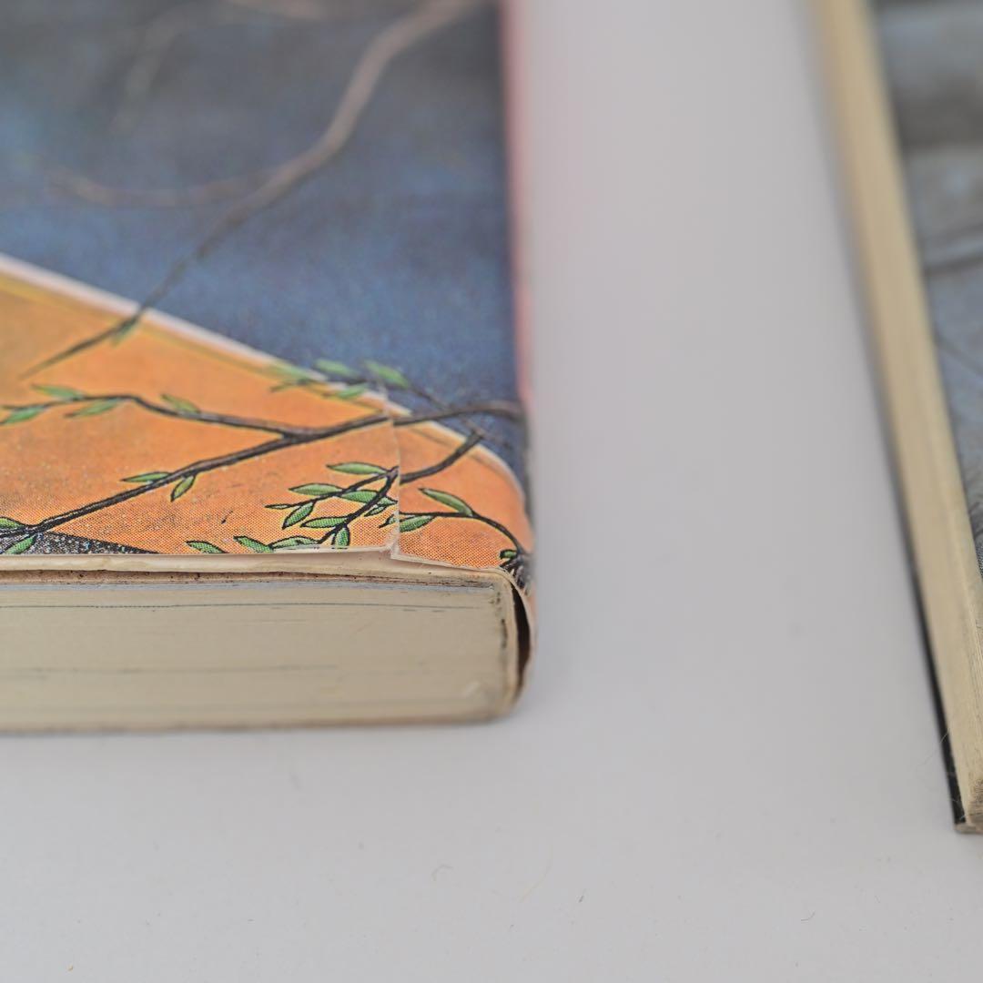 ファイブスター物語　17冊