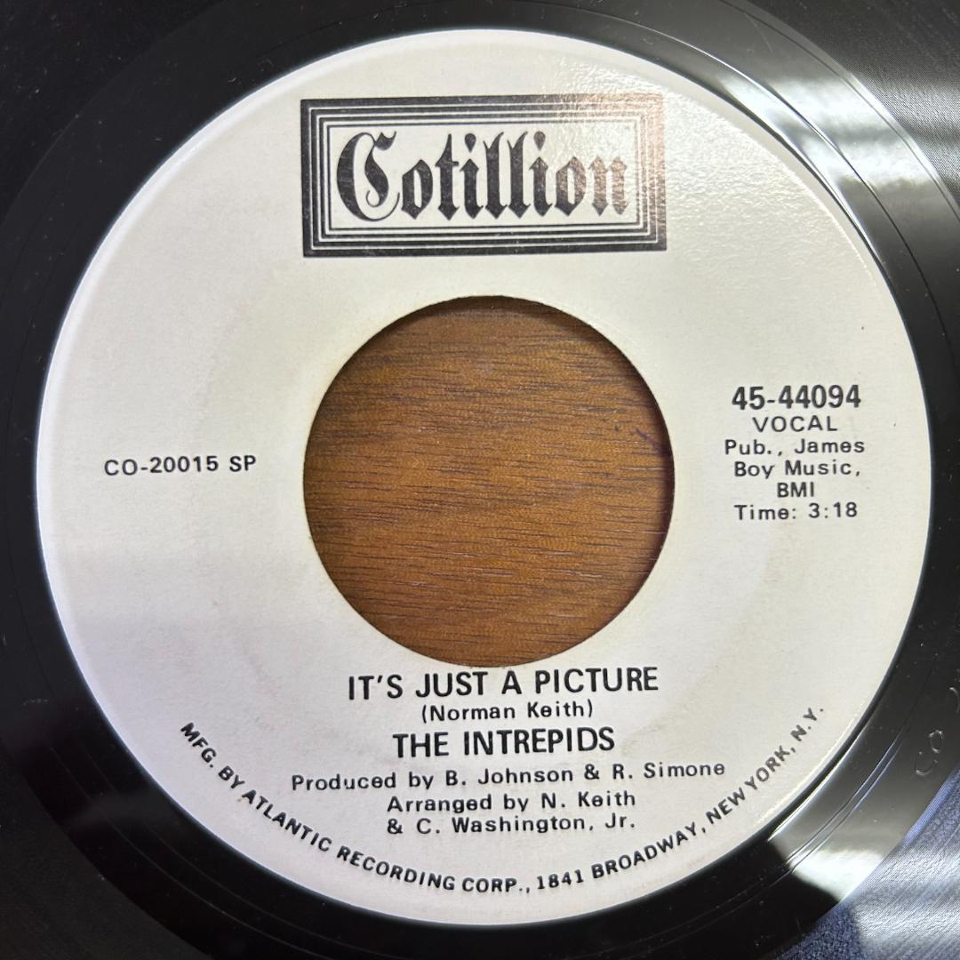 THE INTREPIDS／IT'S JUST A PICTURE