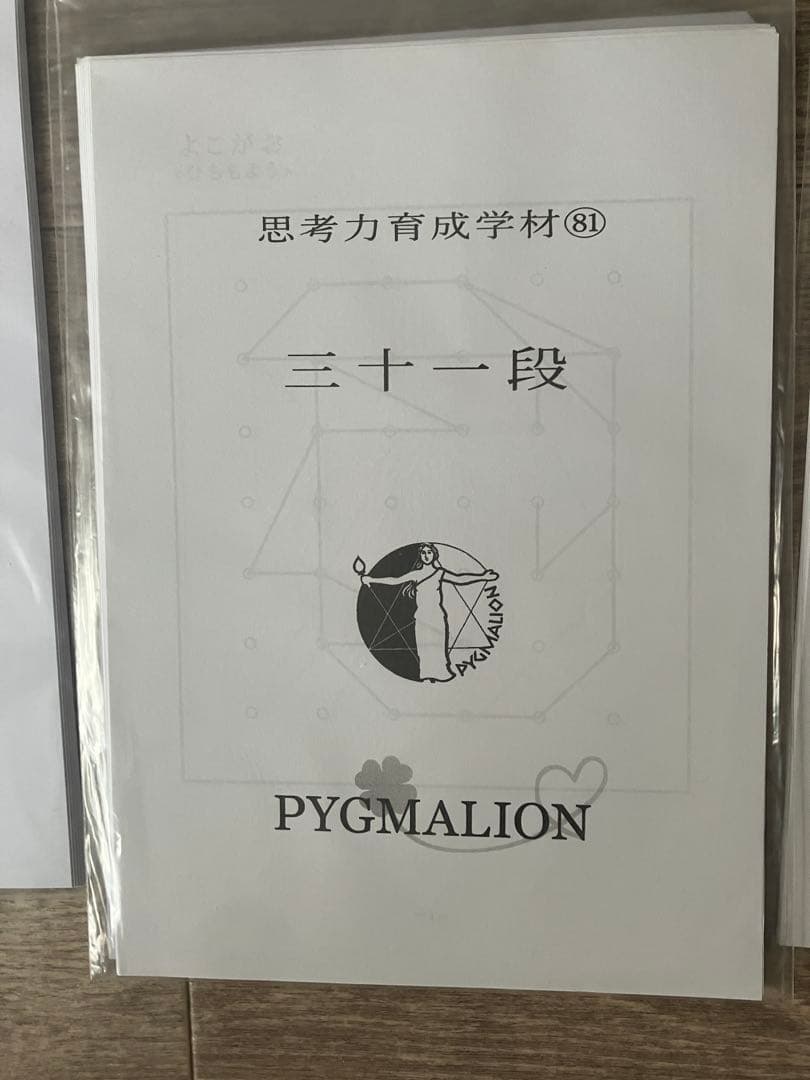 【希少・袋入】ピグマリオン 思考力育成教材 17点セット 二十一段〜三十二段