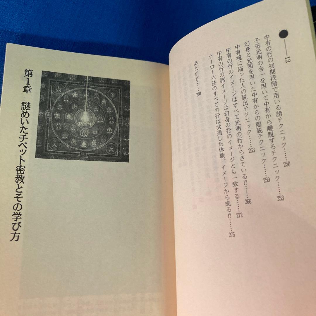 【レア本セット！】神秘！チベット密教入門　秘伝チベット密教奥義　高藤聡一郎
