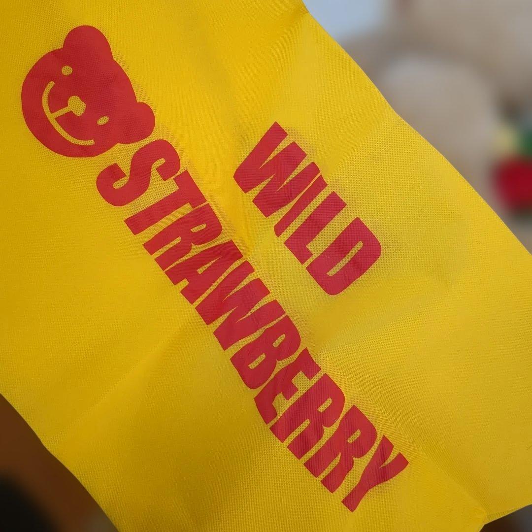 くまのぬいぐるみ　ワイルドストロベリー　ベージュ　LL