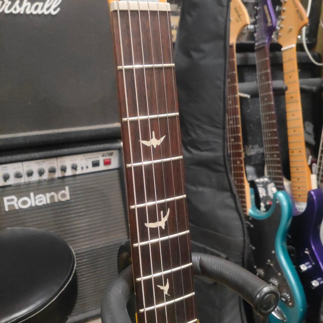 【値下げ！】ポールリードスミス SE Silver Sky Evergreen