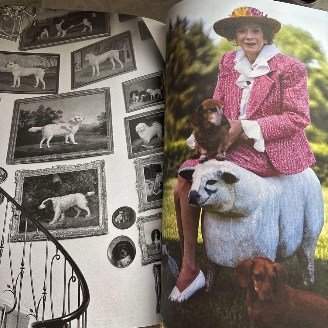 洋書 GOLDEN RETRIEVER PHOTOGRAPHIC SOCIEYT