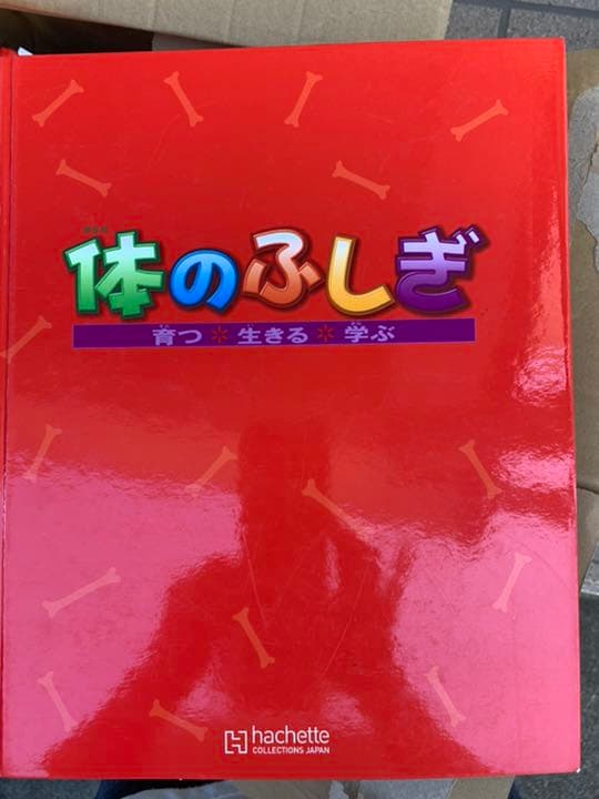 ディアゴスティーノ　体のふしぎ全巻